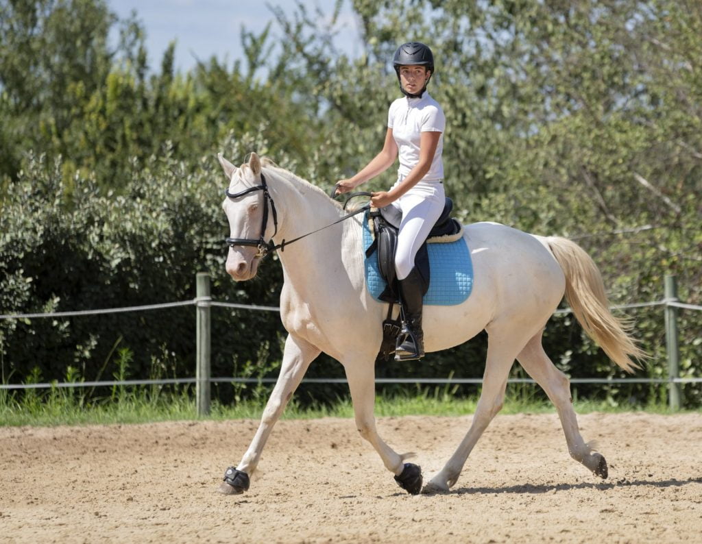 riding girl and horse min 1