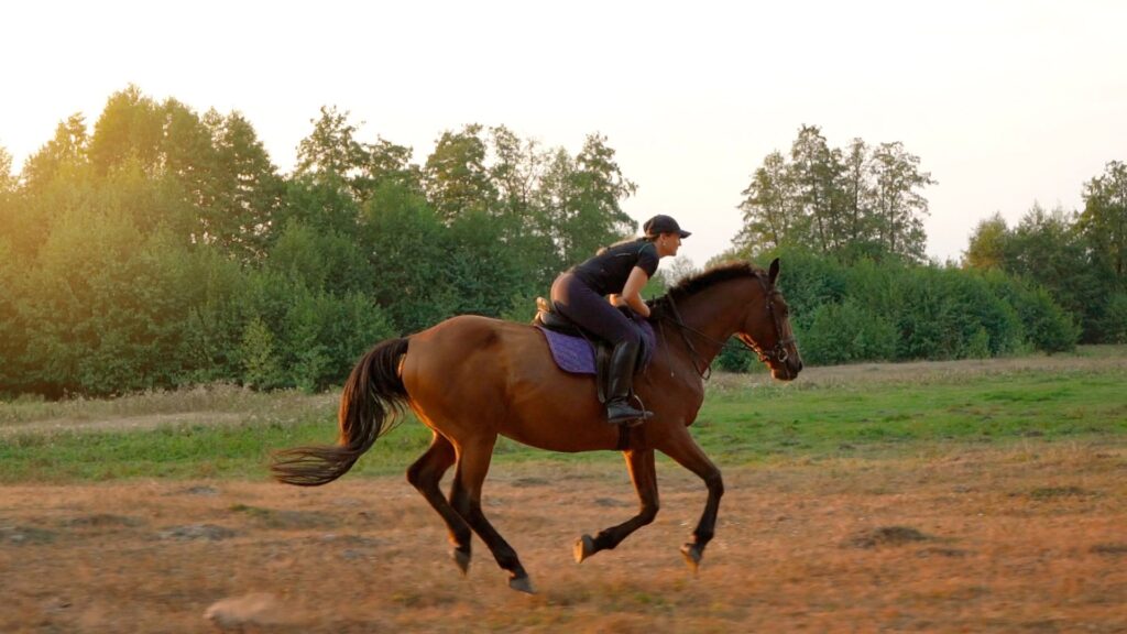 woman riding horse by gallop through a meadow min