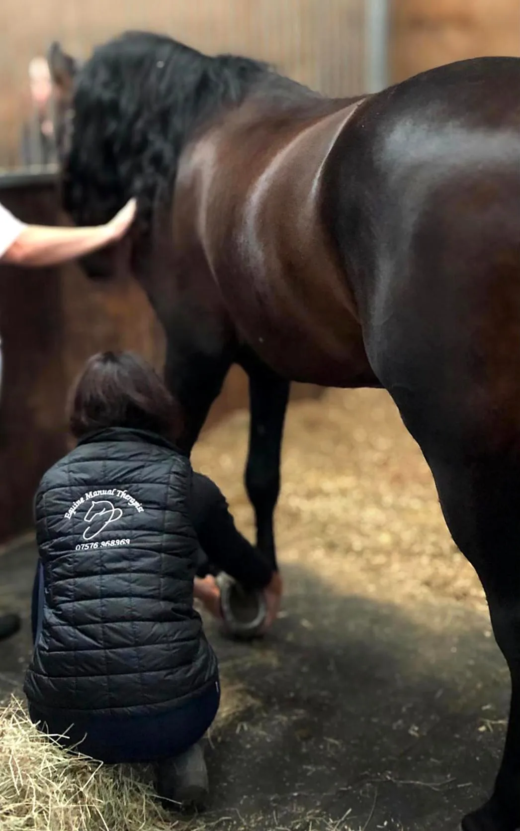 Equine Manual Therapist 7 Jennifer examining a hoof during a palpation clinic