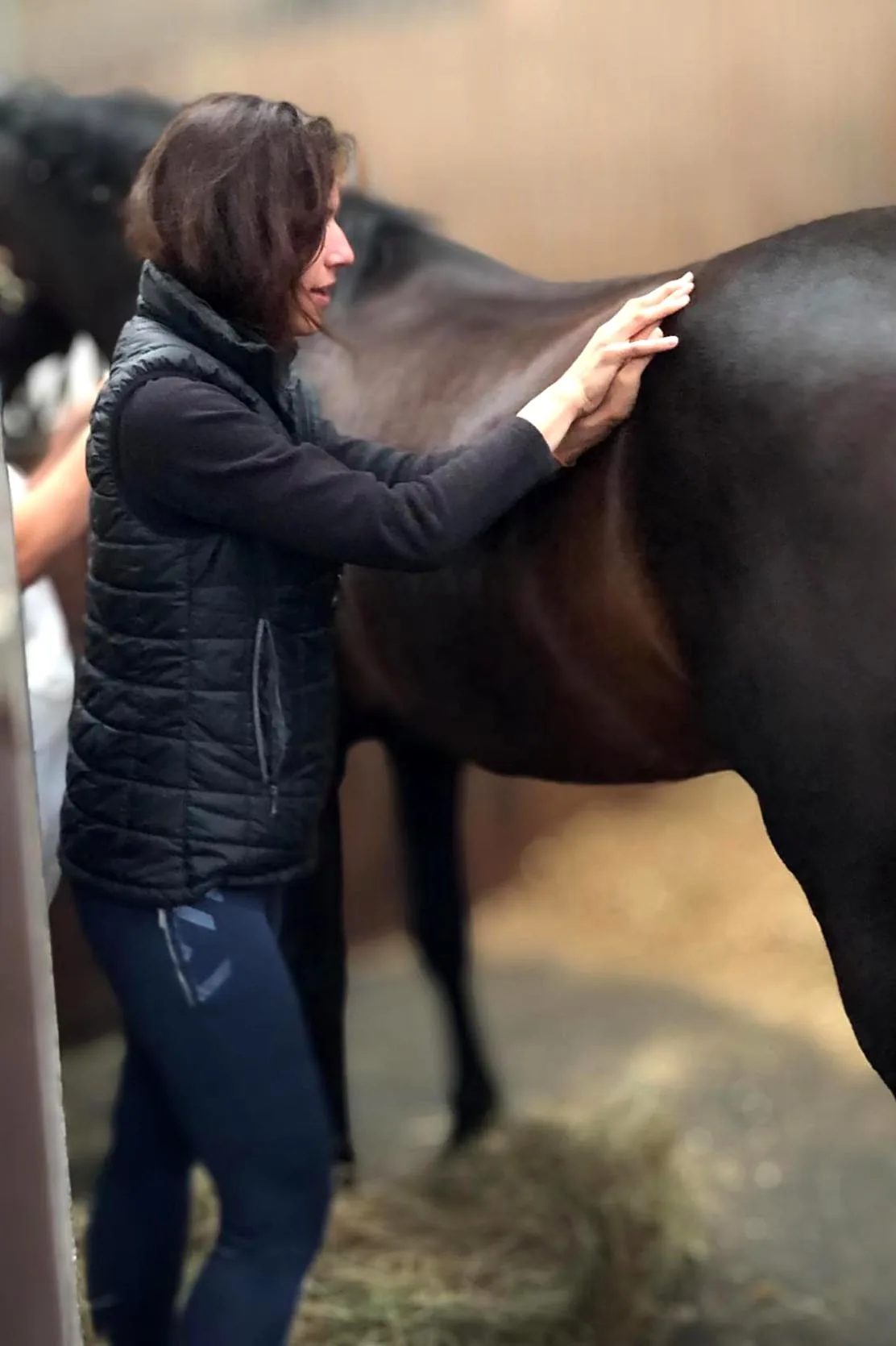 Jennifer treating the back of a bay horse
