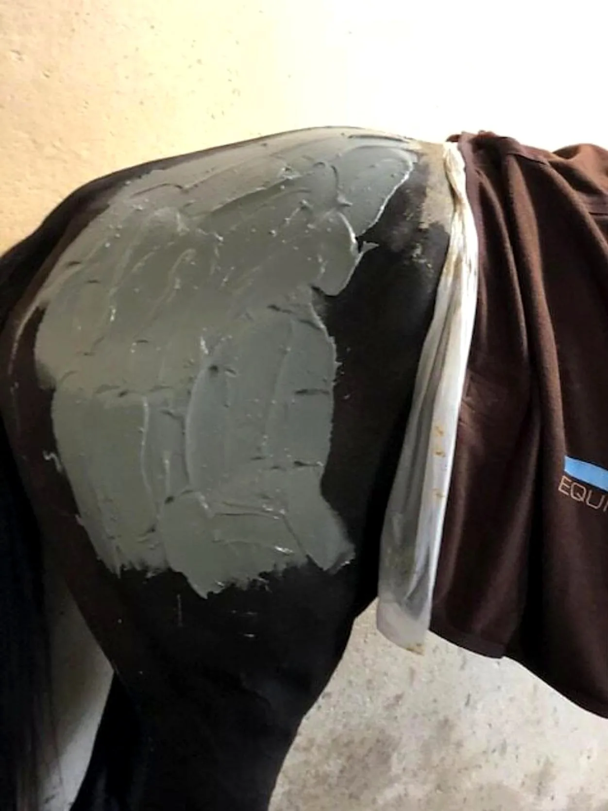 Marine clay applied to a horse's hindquarters