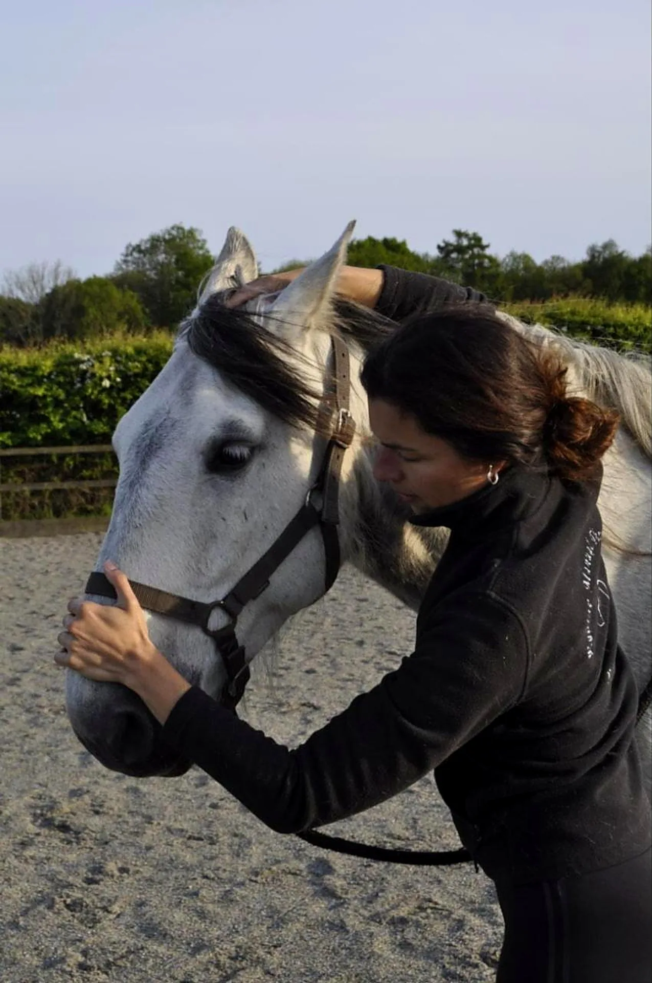 Equine Manual Therapist 4 Jennifer working on a grey horse's poll during an osteopathic treatment